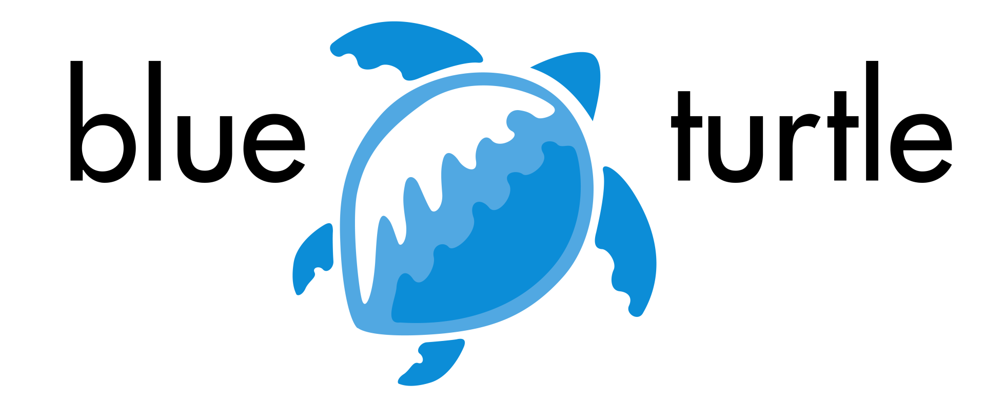 Blue Turtle logo